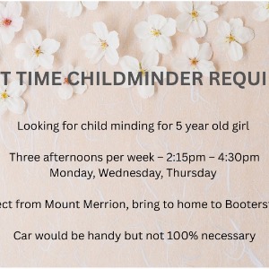 Childminders 