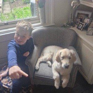 Babysitter required in Dublin, Co. Dublin, D06, Ireland