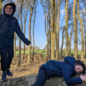 Babysitter required in Bray, Ireland