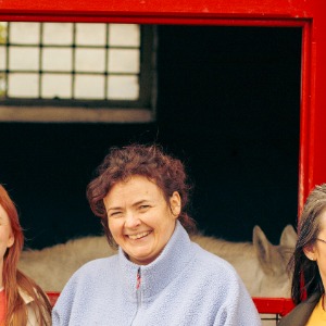 Babysitter required in Bettystown, Ireland