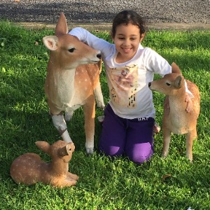 Babysitter required in 5 Shrewsbury Park, Ballsbridge, Ireland