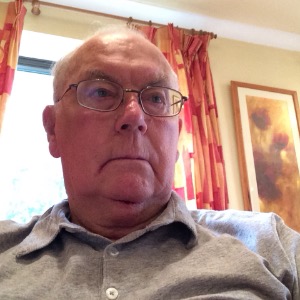 Babysitter required in Monkstown Valley, Monkstown, Ireland