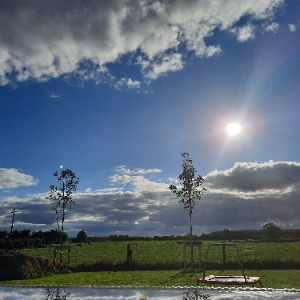 Babysitter required in Lisdallen, Co. Tipperary, E41 ED80, Ireland