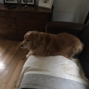 Babysitter required in Ovens, Ireland