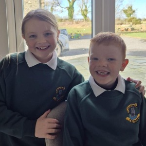 Babysitter required in Delamaine House, Dunnstown, Brannockstown, County Kildare, Ireland