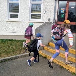 Babysitter required in Stepaside, Ireland