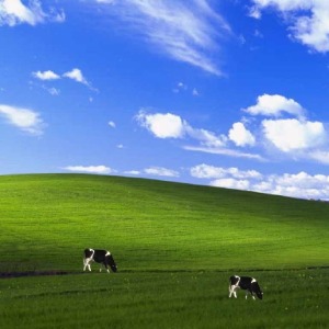 Babysitter required in Clonoulty Village, County Tipperary, Ireland