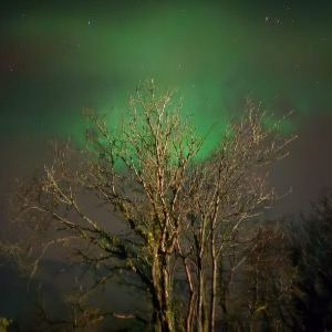 Babysitter required in Wexford, Ireland