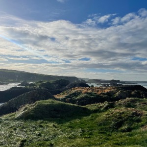 Babysitter required in Newtown Little, Dublin 14, Ireland