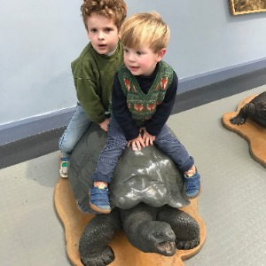 Babysitter required in Howth, Dublin, Co. Dublin, D13 T682, Ireland