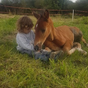Babysitter required in Ballyhine, Co. Mayo, F35 WY88, Ireland