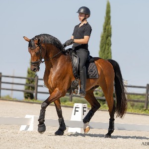 Babysitter required in Dublin 4, Ireland