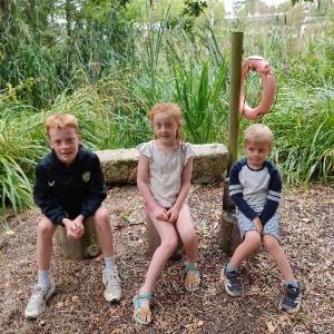 Babysitter required in Ballinteer, Dublin 16, Ireland