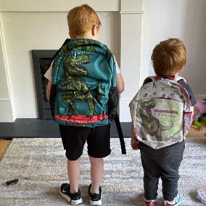 Babysitter required in Blackrock, Dublin, Ireland